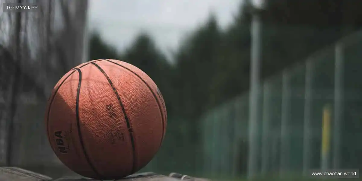 精彩纷呈，尽在影视娱乐！🎥✨